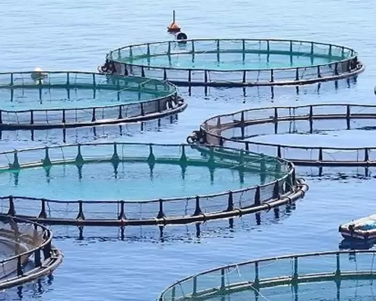 AQUACULTURE PRODUCTS